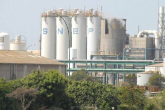 SNEP : les bénéfices progressent de 23% en 2019