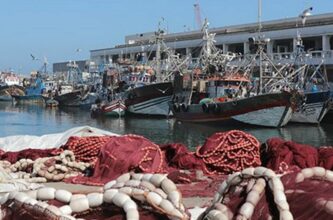 Pêcherie poulpière : renforcement des mesures de contrôle et des conditions de surveillance