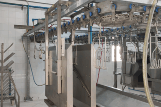 Contre l'anarchie de l'informel, la FISA promeut des abattoirs avicoles à capacité réduite