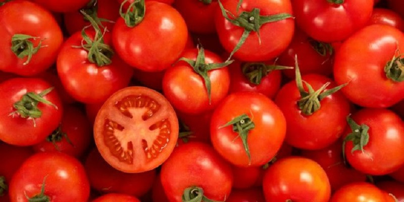 La tomate - La Presse+
