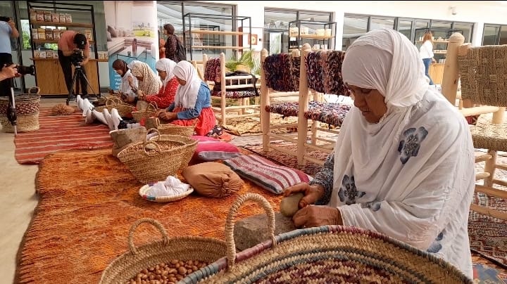 Comment le Maroc a métamorphosé ses coopératives agricoles