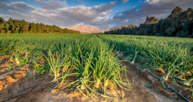 Objectifs, fonctionnement... Ce qu’il faut savoir sur le Registre national agricole