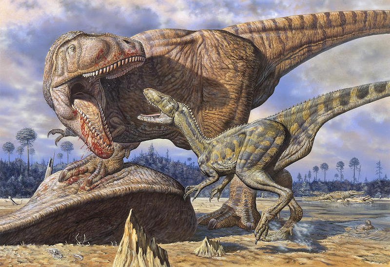 Cacharodontosaurus