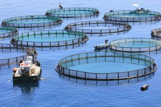 L’ANDA évalue l’aptitude de deux régions à abriter des projets aquacoles