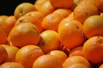 L'agrumiculture confrontée à la pénurie d'eau, arrachages d'arbres dans certaines zones