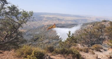 Vues du ciel, les traces du feu de forêt de Houara près de Tanger (images satellite)