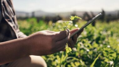 L’IA pour mieux comprendre son exploitation agricole et faciliter sa gestion