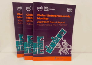 Entrepreneuriat : Au Maroc, l’activité a régressé malgré l'amélioration de l’environnement (Rapport du GEM)
