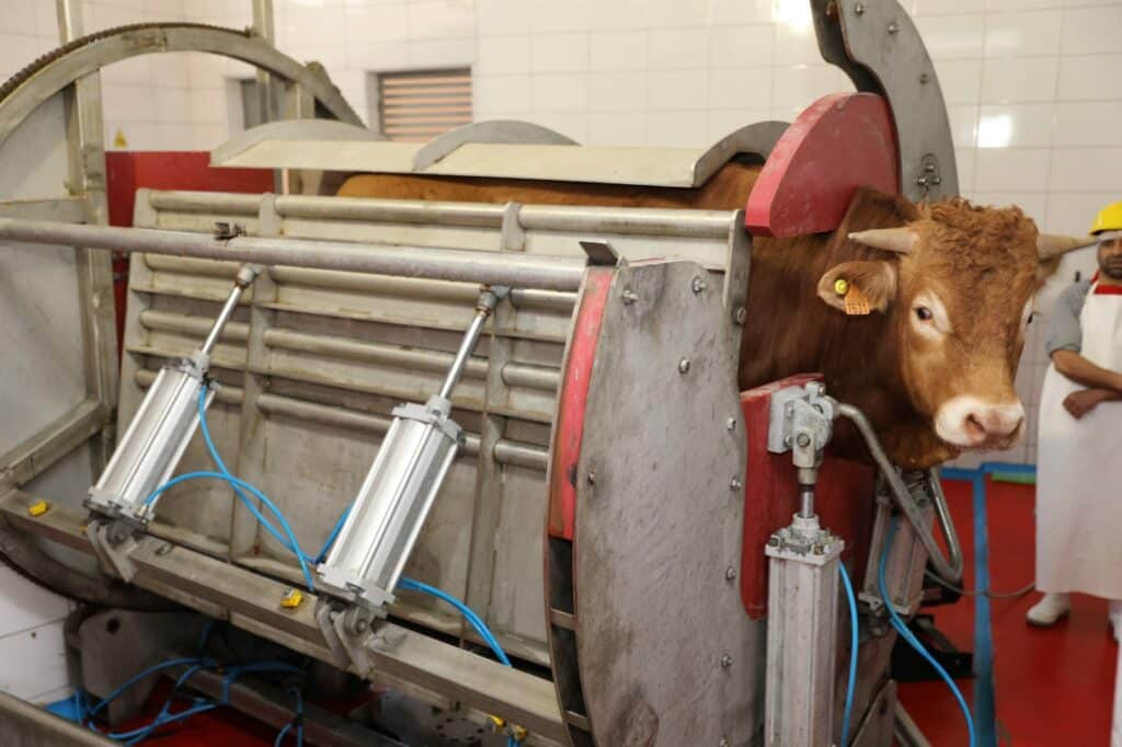 Un nouvel abattoir de viandes rouges à Berkane
