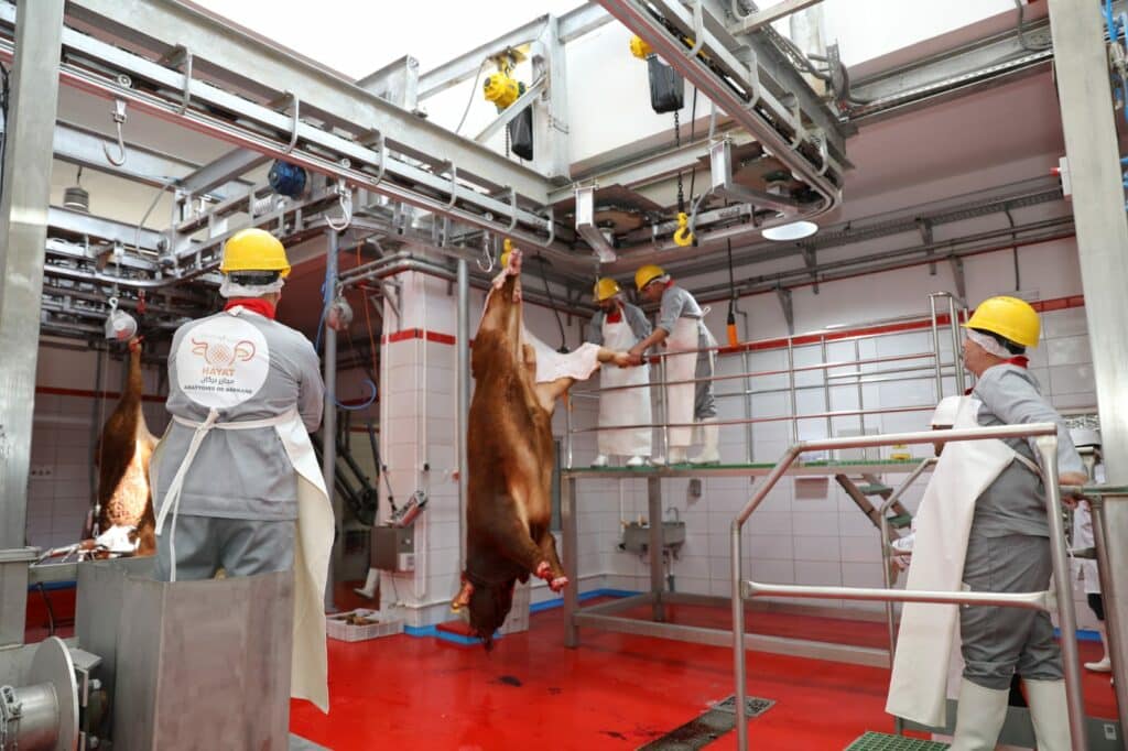 Un nouvel abattoir de viandes rouges à Berkane