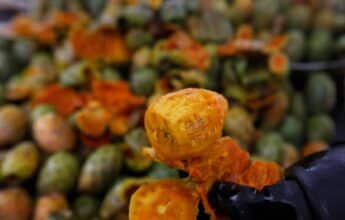 Très populaires, les figues de Barbarie sont quasi introuvables cet été