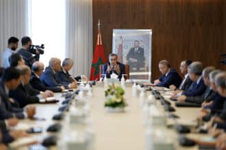 Viandes rouges : 32.000 têtes de bétail importées depuis février