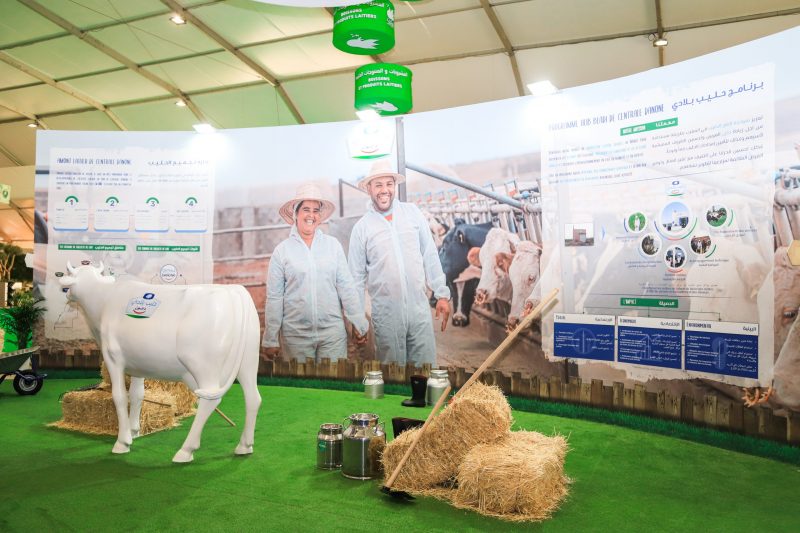 “Hlib Bladi”, un projet de plus de 10 MDH pour assurer une production laitière durable