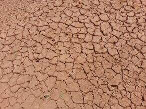 Reportage. À 30 km de Settat, sur les berges asséchées du 2e plus grand barrage du Maroc