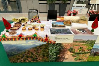 Deux sites marocains officiellement désignés Systèmes ingénieux du patrimoine agricole mondial