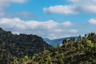 Les prévisions météo pour ce mercredi 11 juin 2025