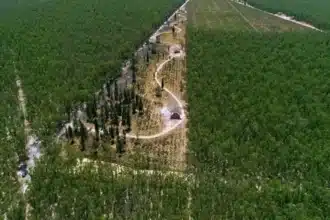 Un programme d'urgence pour préserver le patrimoine écologique de la forêt de Bouskoura