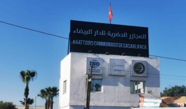 Aïd Al Adha : les abattoirs communaux de Casablanca reprennent le service d’abattage et d’hébergement
