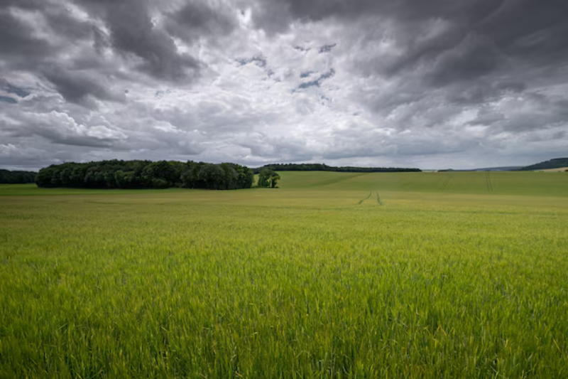 météo