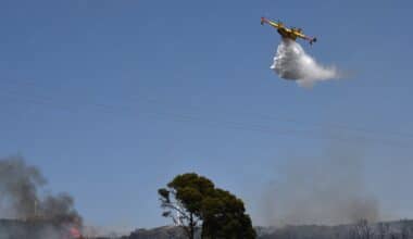 Incendies au nord du Maroc : des forêts de Tétouan et Chefchaouen en proie aux flammes