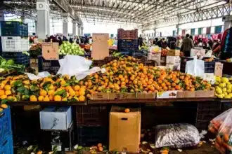 Prix au marché de gros de Casablanca : viandes en hausse, tomates en baisse