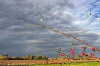 Températures en hausse durant les 10 prochains jours, orages sur les reliefs