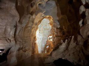 La grotte du Chameau, l'écrin des plus anciennes gravures rupestres d'Afrique du Nord