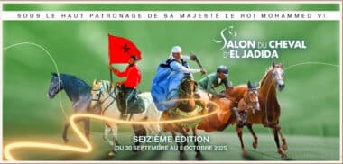 Le bien-être équin au cœur de la 16e édition du Salon du cheval d'El Jadida