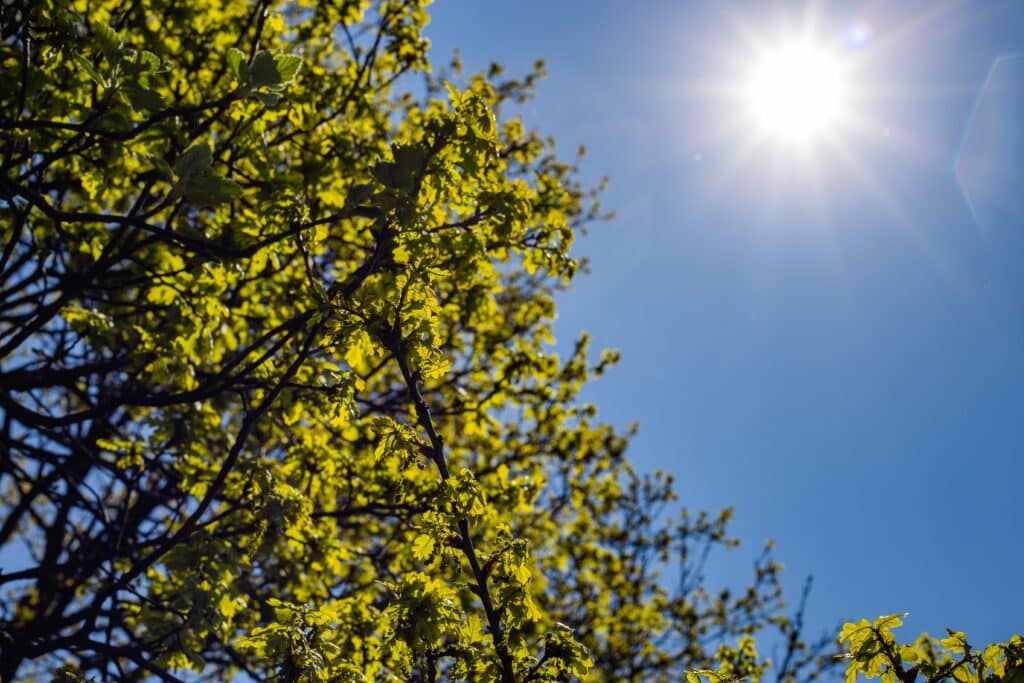 Prévisions météo pour le lundi 08 septembre 2025