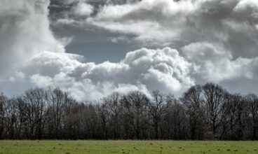 Les prévisions météo pour ce jeudi 27 novembre