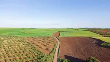 Campagne agricole 2025-2026 : un début encourageant, mais la prudence reste de mise