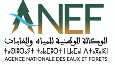 Extension des aires protégées et projet de parc national à Dakhla : le bilan de l'ANEF