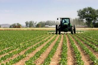 Agriculture : la FNSA-UMT obtient des engagements du ministère, mais dénonce l'inertie budgétaire