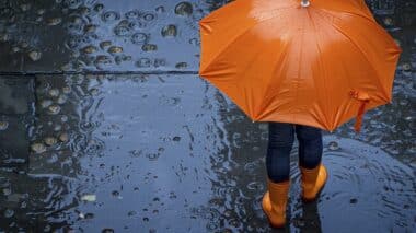 Prévisions météo pour dimanche 21 décembre 2025