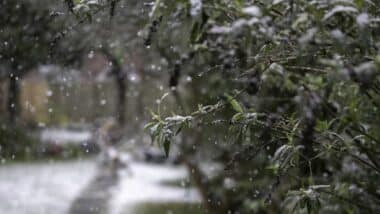 Les prévisions météo pour ce mercredi 21 janvier
