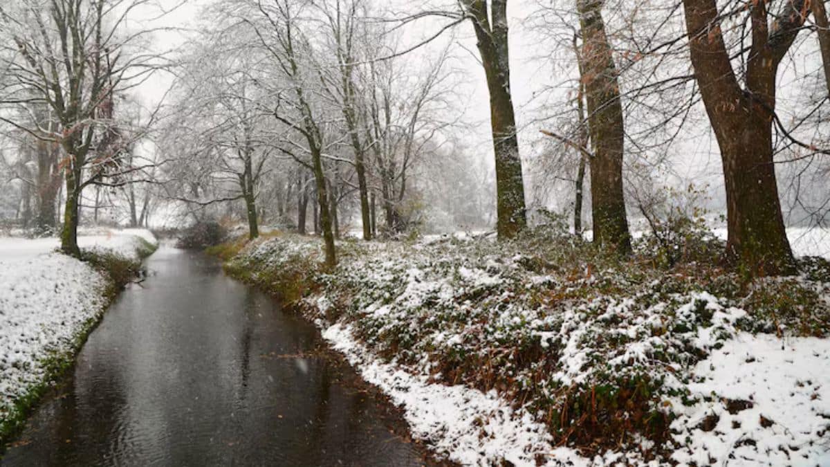 Alerte météo : neige, fortes pluies et vents violents dans plusieurs provinces