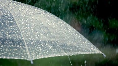 Les prévisions météo pour ce samedi 31 janvier