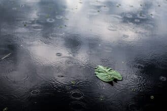 Les hauteurs de pluie au cours des dernières 24 heures, le Nord et le Gharb en tête