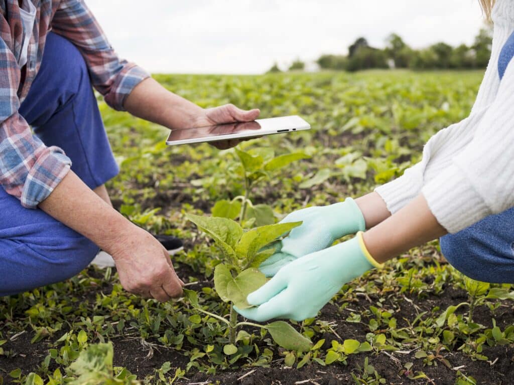 Entre 2000 et 2025, l’agriculture a perdu environ 1,24 million d’emplois.