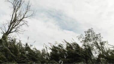 Les prévisions météo pour le vendredi 6 février