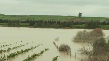 Crues et pluies extrêmes : entre dégâts agricoles et bénéfices hydriques