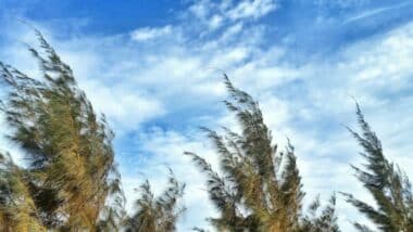 Alerte météo: fortes rafales de vent à Marrakech, Agadir, Essaouira, le Haouz et le Massa