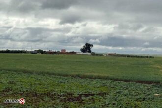 Agricultural Investment Code of 1969: Major Modernization Project Launched
