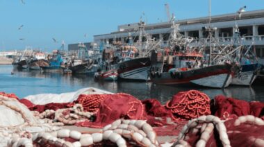 Pêche maritime : nouveau zoning pour les chalutiers côtiers et les palangriers