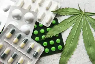 Cannabis licite. Ce que va changer le nouveau protocole signé entre l’AMMPS et l’ANRAC