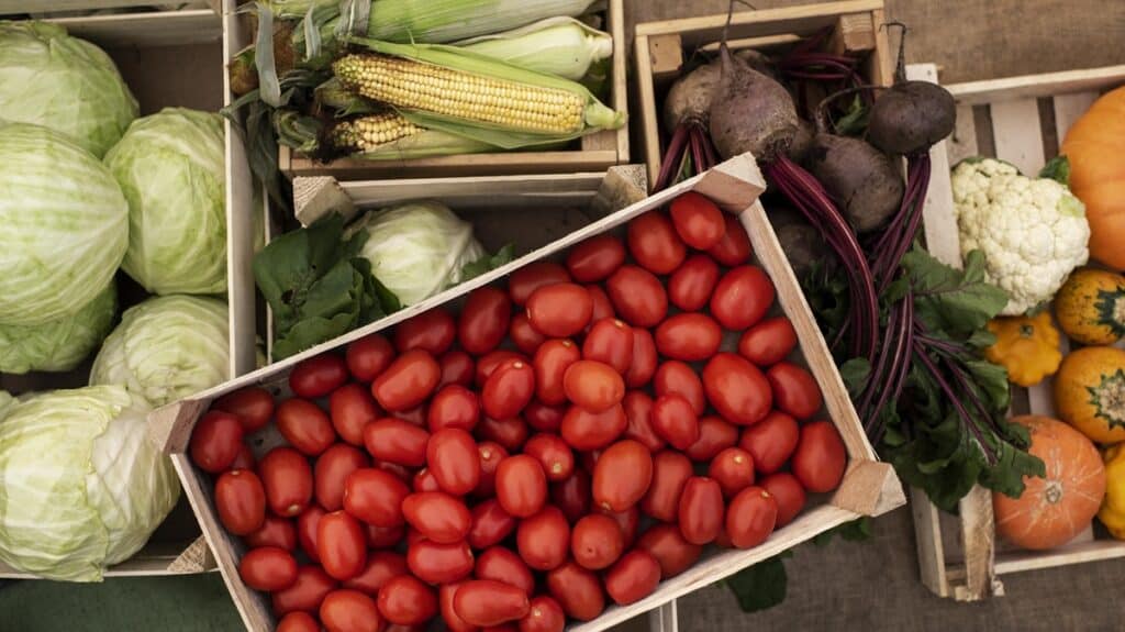 Flambée des fruits et légumes, l’impact du gazole reste marginal.
