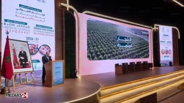 Un rebond agricole tiré par la production et la croissance du PIB agricole