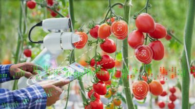Génération Green : le ministère de l’Agriculture veut se doter d’une plateforme de suivi à 4 millions de dirhams