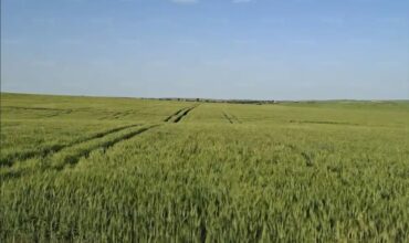 Agriculture. Les engrais importés s'envolent de 40% à 60%, les agriculteurs sous pression