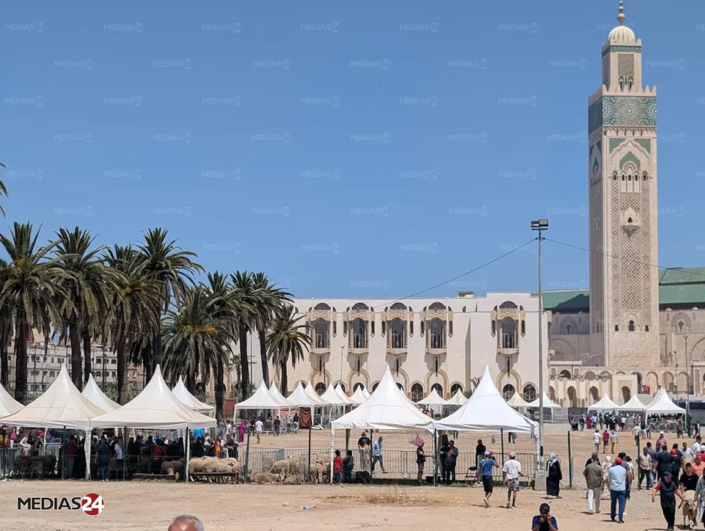 Reportage. Aïd al-Adha 2026, le mouton hors de prix
